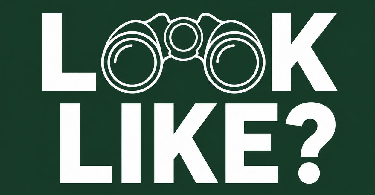 LookLike?